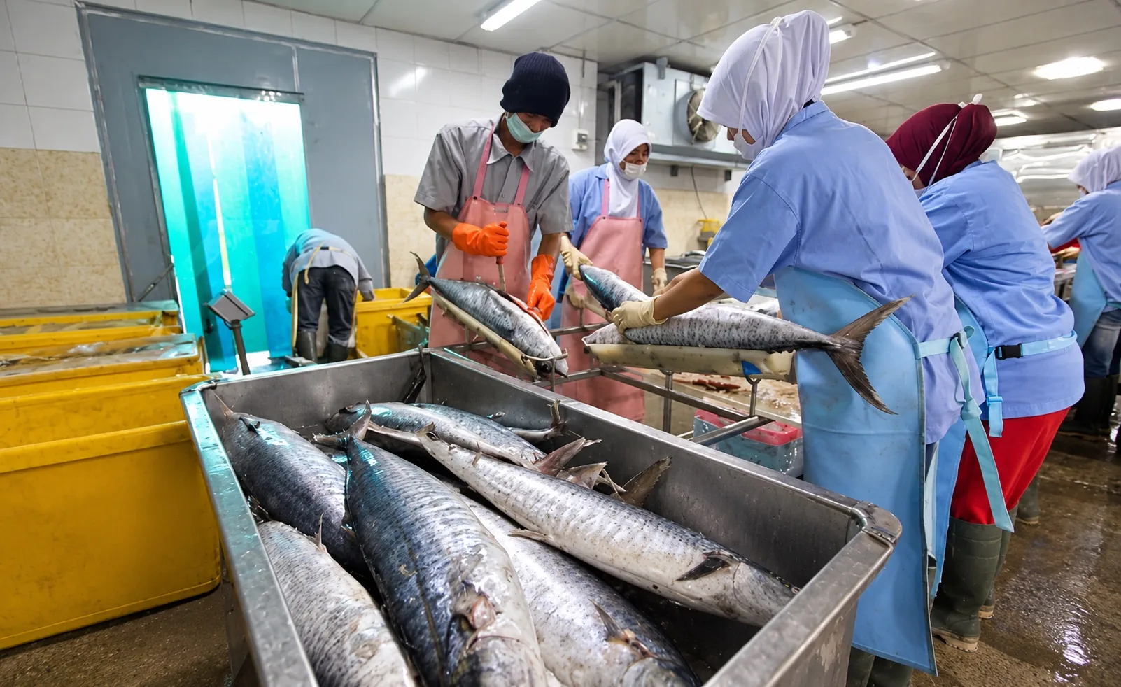 Seafood handling